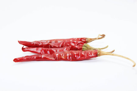red chilli on white backgroundの写真素材