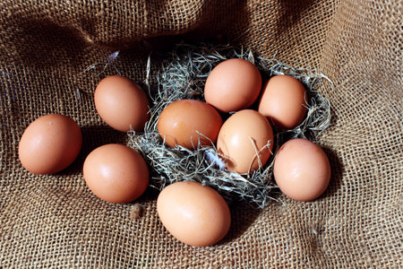 Fresh eggs in a basket on a burlap background. Top view.の写真素材