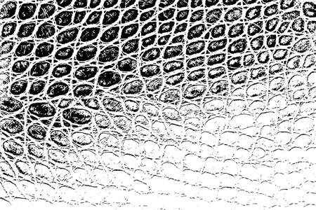 Distress snake skin grunge texture. Black and white background.のイラスト素材