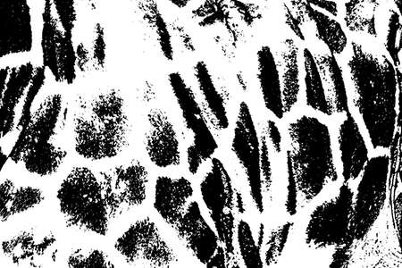 Vector seamless pattern with giraffe skin texture.のイラスト素材