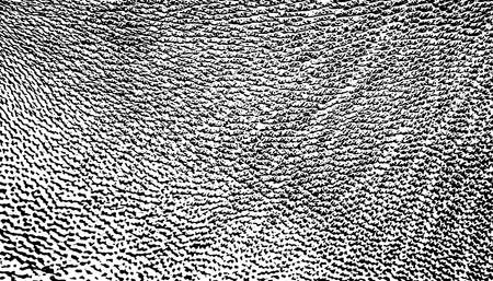 Animal skin texture backgroundのイラスト素材