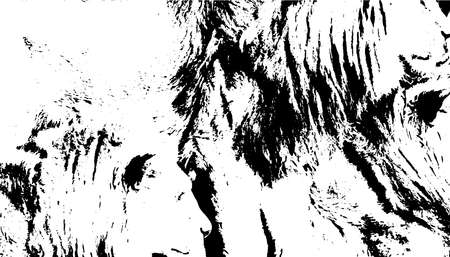 Distressed overlay texture of rough surfaceのイラスト素材