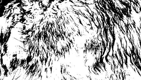 Animal skin texture backgroundのイラスト素材