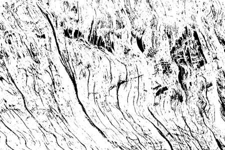 Wooden planks vector texture. Old wood grain textured background.のイラスト素材