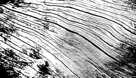 Wooden planks vector texture. Old wood grain textured background.のイラスト素材