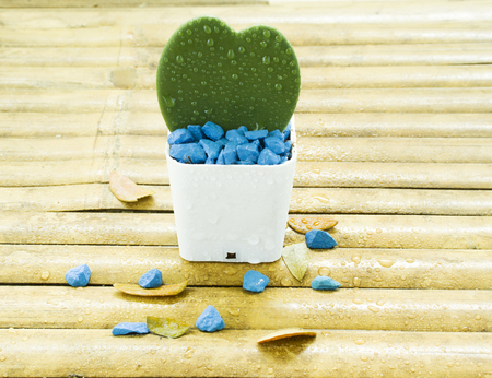 tree is Heartの写真素材