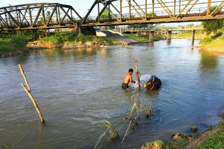 NAKHON SI THAMMARAT, THAILAND - FEBRUARY 17 : An unidentified man bathes his cattle in a local river on February 17, 2011 in Nakhon Si Thammarat, Thailand.のeditorial素材