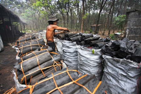 NAKHON SI THAMMARAT, THAILAND - MAY 12 : Unidentified worker in a charcoal factory packs charcoals into plastic bags for shipment on May 12, 2010 in Nakhon Si Thammarat, Thailand. のeditorial素材