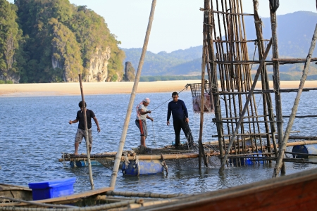 KRABI, THAILAND - JANUARY 29 : Local fishermen process jellyfish catch in Andean sea near Ao Thalane on January 29, 2013 in Krabi, Thailand. のeditorial素材