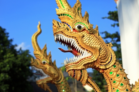 Naga statues on staircase of an entrance at temple, Krabi province, Thailandの写真素材