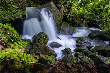 Waterfall in a lush rainforest. Photographed at Hin Phoeng Waterfall in Khlong Phon, Khlong Thom District, Krabi, Thailand.の写真素材