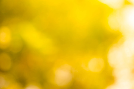 Beautiful bokeh blurred background. Colourful textureの写真素材