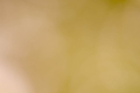 Beautiful bokeh blurred background. Colourful textureの写真素材