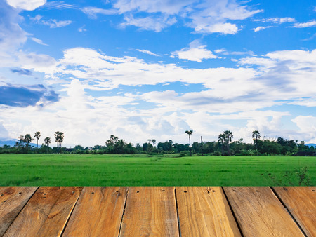 Wood table or terrace with green rice field in sunny day and blue sky background, nature concept for display product. Free space.の写真素材