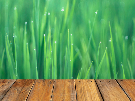 Wood table or terrace with green rice field in sunny day background, nature concept for display product. Free space.の写真素材