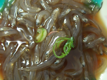 Whitebait (the immature fry of fish or shirasu in Japanese) in soupの写真素材