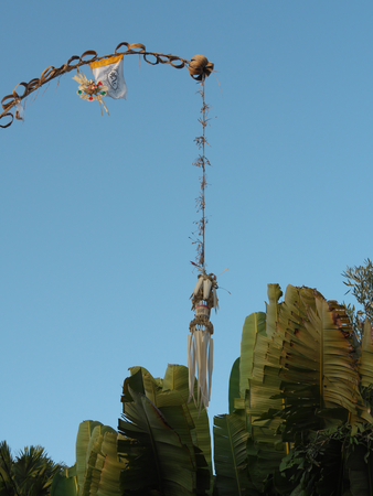 Penjor, a symbol of thanks and greatness of god, in Baliの写真素材