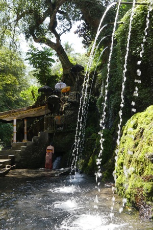 Water for purification ritual in Pura Tirta Sudamala, Bangli, Baliの写真素材