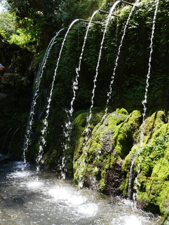 Water for purification ritual in Pura Tirta Sudamala, Bangli, Baliの写真素材