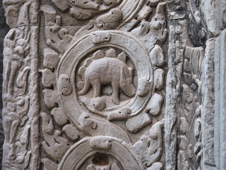 Siem Reap, Cambodia-December 23, 2017: Relief of Stegosaurus or an unknown animal is found on a sandstone relief in Ta Prohm, Siem Reap.のeditorial素材