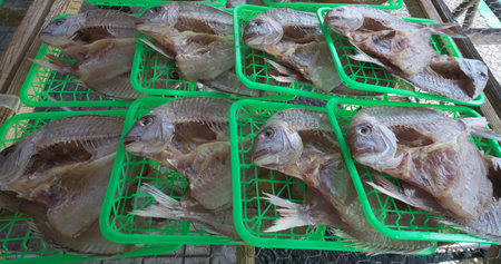 Shizuoka, Japan-June 3, 2018: Dried sea bream or porgy sold at a fish market of Numazu portのeditorial素材