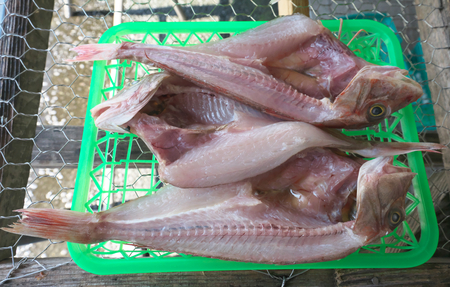 Shizuoka, Japan-June 3, 2018: Dried sea robin sold at a fish market of Numazu portのeditorial素材