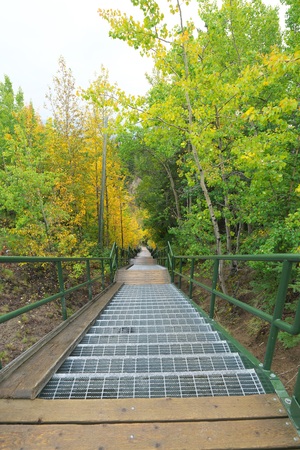 Whitehorse, Canada-September 11, 2018: View of Whitehorse Airport Trail