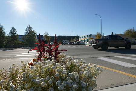 Whitehorse, Canada-September 10, 2018: Wood Street and 4th Avenue in Whitehorse, Canadaのeditorial素材