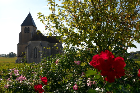 Golden Gate of Burgundy village of Chablis in Bourgogne region, famous for white wineの写真素材