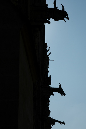 Gargoyles of Cathedral of Notre-Dame or Our Lady of Reims in Reims, Franceの写真素材