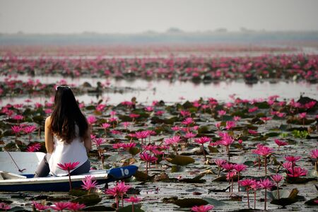 Udon Thani,Thailand-January 22, 2020: Morning scene of Red Lotus Lake or Talay Bua Daeng in Udon Thani, Thailandの写真素材