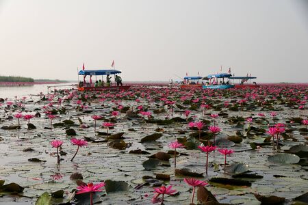 Udon Thani,Thailand-January 22, 2020: Boats on Red Lotus Lake or Talay Bua Daeng in Udon Thani, Thailandのeditorial素材