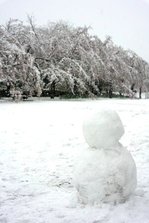 Tokyo, Japan-March 29, 2020: A snowman and Cherry blossoms in heavy snow in Tokyo.の写真素材
