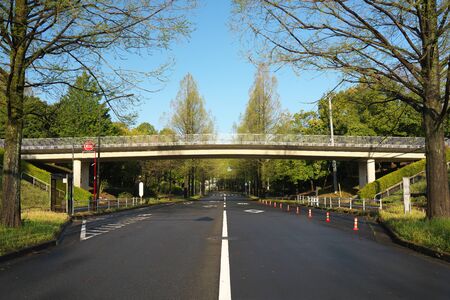 Tokyo, Japan-April 14, 2020: A bridge for gaze at the suburb of Tokyo in the morningの写真素材