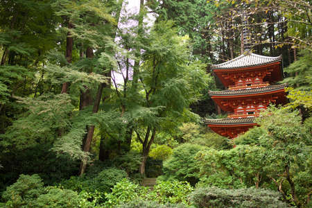 Kyoto,Japan-October 11, 2020: Three-storied pagoda of Gansenji temple in Kizugawa, Kyotoのeditorial素材