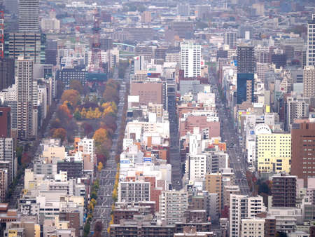 Hokkaido,Japan-November 8, 2020: Bird's view of Sapporo City in Hokkaido, Japanのeditorial素材