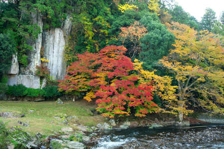 Colorful autumn leaves along Uda river, Naraの写真素材