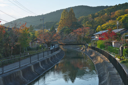 Kyoto,Japan-November 17, 2020: A canal connecting Lake Biwa and Kyoto city flowing in Yamashina area in autumn.のeditorial素材