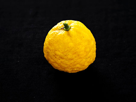 Yuzu or Citrus junos on black backgroundの写真素材