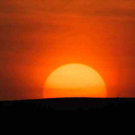 Tokyo,Japan-March 11, 2021: The sinking sun beyond a hillの写真素材