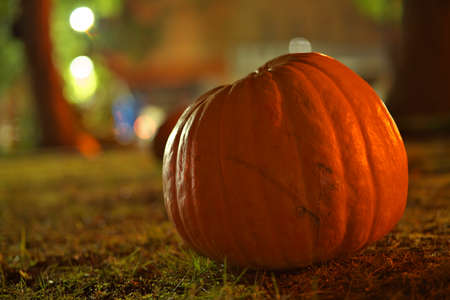 Tokyo,Japan - October 16, 2021: Ornamental Pumpkins for Halloween festivalの写真素材