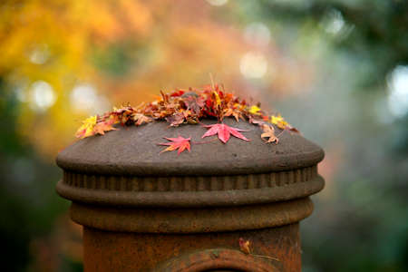Hyogo,Japan- November 23, 2021: An obsolete rusty mailbox in autumnの写真素材