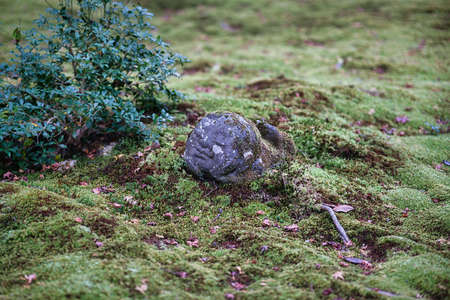 Kyoto,Japan - November 14, 2021: Small jizo or guardian deity of children in a moss-covered garden in Kyoto, Japanのeditorial素材