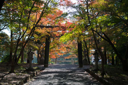 Kyoto,Japan - November 19, 2021: Second Torii or Nino Torii at Oharano jinja shrine in autumn in Kyoto, Japanのeditorial素材