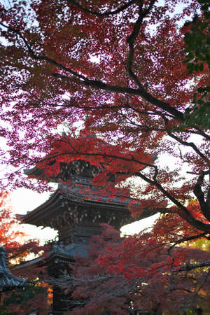 Kyoto,Japan - November 18, 2021: Shinnyodo temple and autumn leaves in Kyoto, Japan