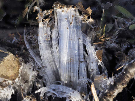 Tokyo,Japan - December 19, 2021: Closeup of frost columns or ice needles on groundの写真素材