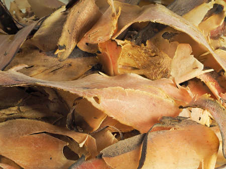 Tokyo,Japan - January 2, 2022: Closeup of Sliced dried bonito or bonito flakes or katsuobushi