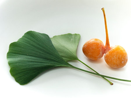 Tokyo,Japan - September 20, 2022: Closeup of Gingko Nuts in autumnの写真素材