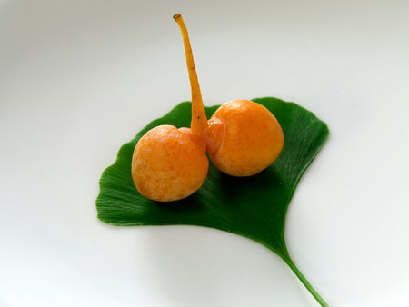 Tokyo,Japan - September 20, 2022: Closeup of Gingko Nuts in autumnの写真素材