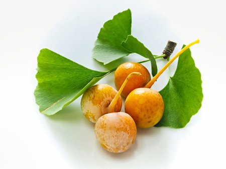 Tokyo,Japan - September 23, 2022: Closeup of Gingko Nuts and Gingko leaves in autumnの写真素材